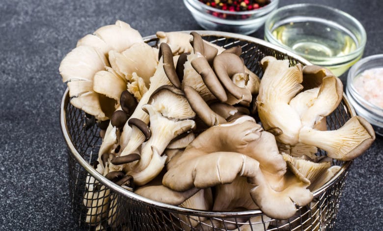 Pleurotus