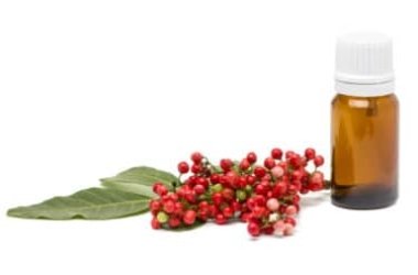 Olio di lentisco: profumo di Mediterraneo, beneficio per la pelle