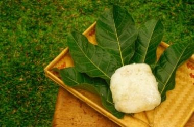 Tutto sull’elemi, la resina naturale delle Filippine