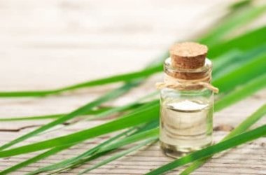 Olio essenziale di citronella rimedio naturale contro le zanzare
