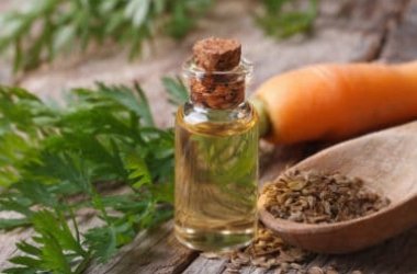 Guida all’olio di carota, cicatrizzante e protettivo di pelle e capelli