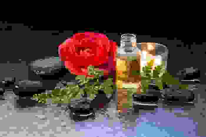 olio di camelia