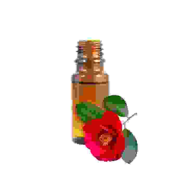olio di camelia