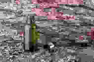 Quello che c’è da sapere sull’olio essenziale di Niaouli, un prodotto ricco di proprietà benefiche