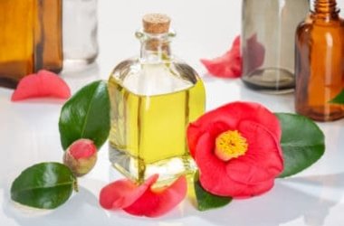Olio di camelia, il più amato in cosmesi per pelli e capelli