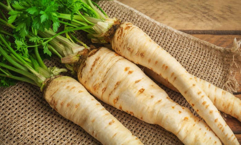 radice di prezzemolo