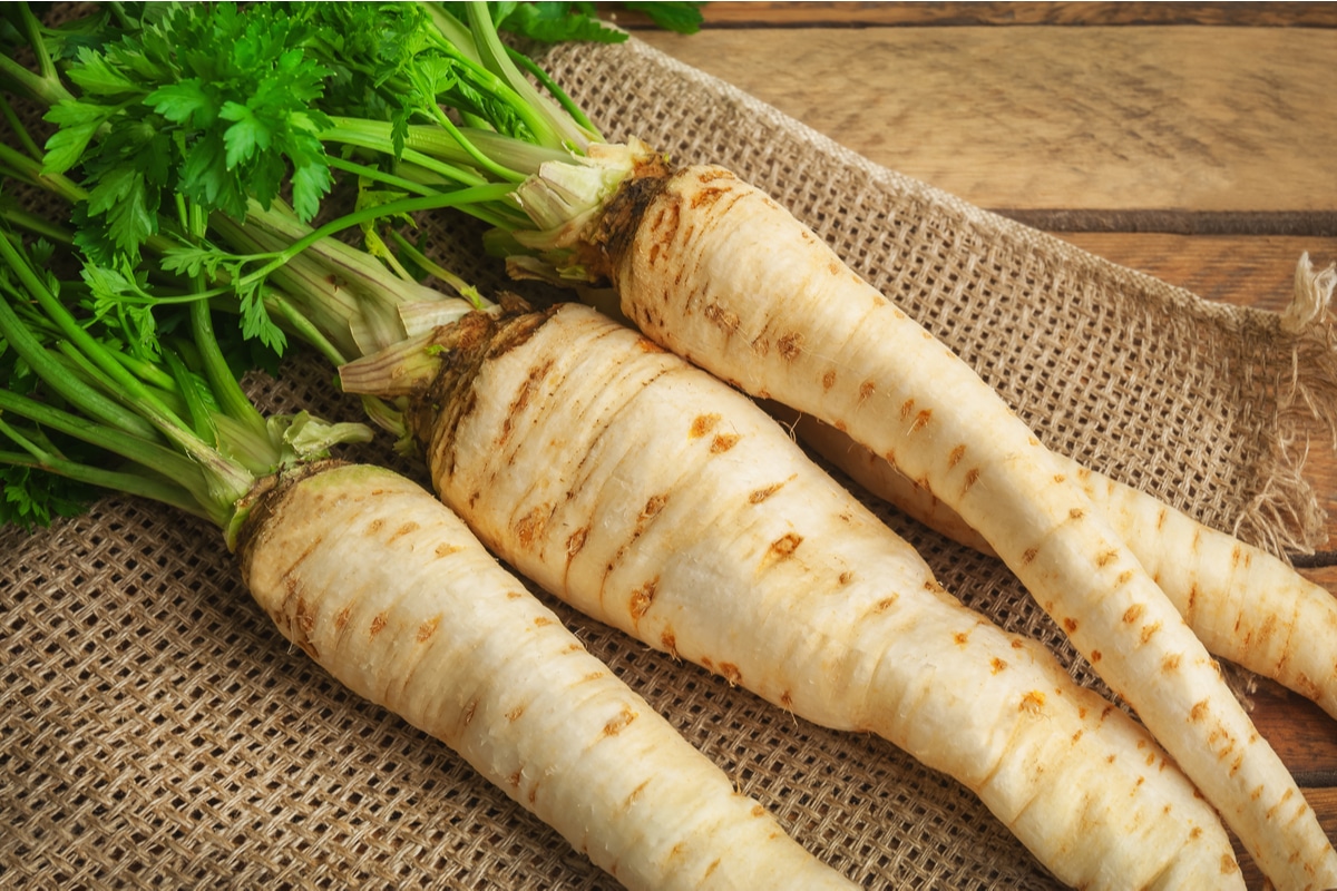 Radice di prezzemolo proprietà, benefici e utilizzi in cucina Radice di prezzemolo proprietà, benefici e utilizzi in cucina