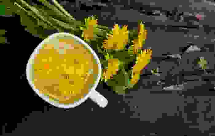 tisane depurative tarassaco
