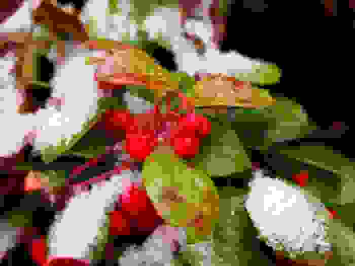 gaultheria