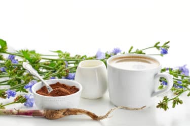 Scoprite il caffè di cicoria, un’alternativa al classico caffè senza effetti stimolanti