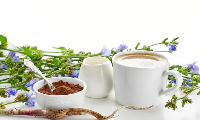 caffè di cicoria