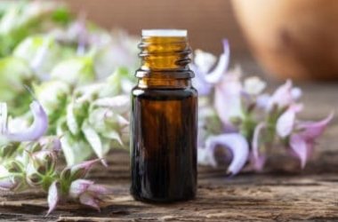 Salvia sclarea: tutto sulla pianta e sull’olio essenziale che se ne ricava