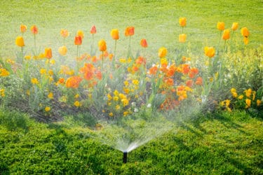 I diversi sistemi di irrigazione del giardino e delle piante di casa: la guida pratica