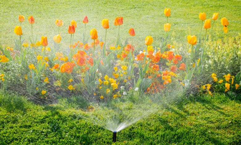 irrigazione giardino