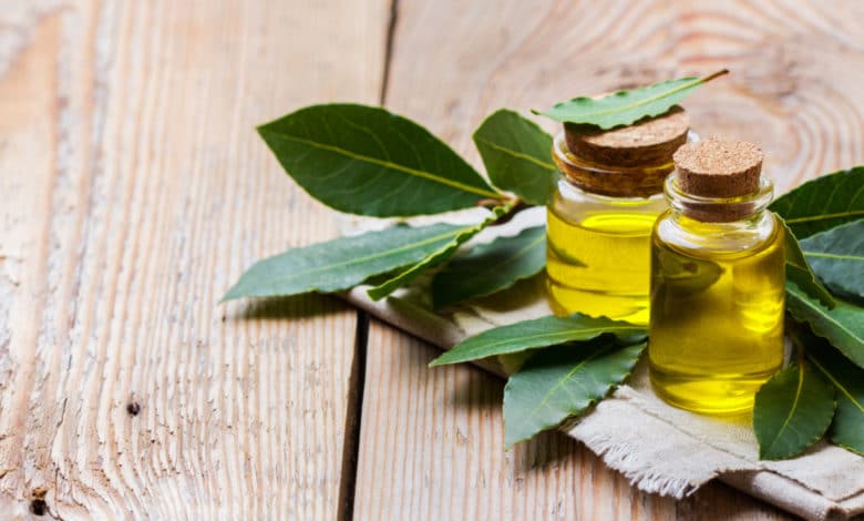 olio essenziale di alloro