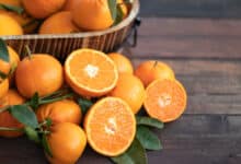 alimenti ricchi di fibre. le arance