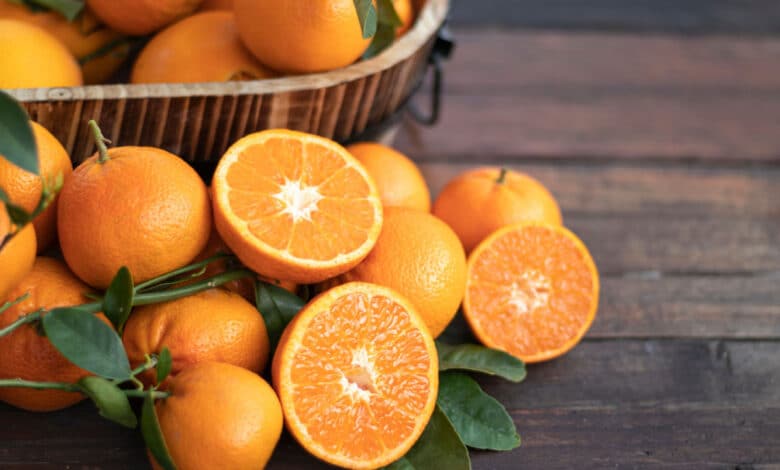 alimenti ricchi di fibre. le arance