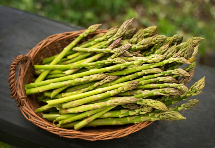alimenti ricchi di fibre: gli asparagi
