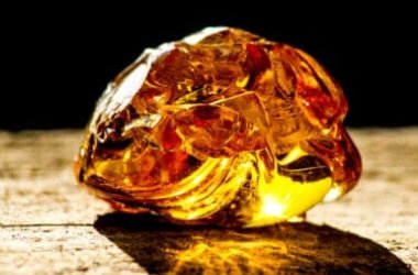 Alla scoperta dell’ambra, la resina che impreziosisce anelli e collane