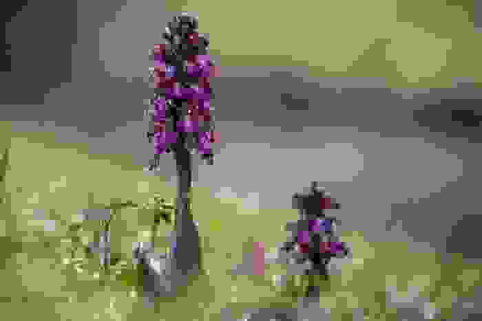 fiori fucsia - Barlia robertiana