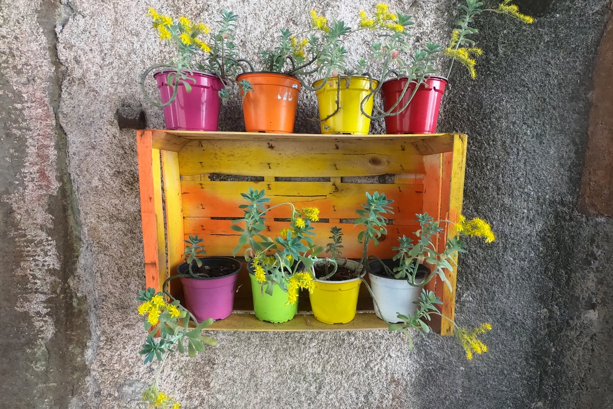 Set Di Abbeveratoi 40 Cm Di 3 Fioriere In Plastica Scatola - Foto 12