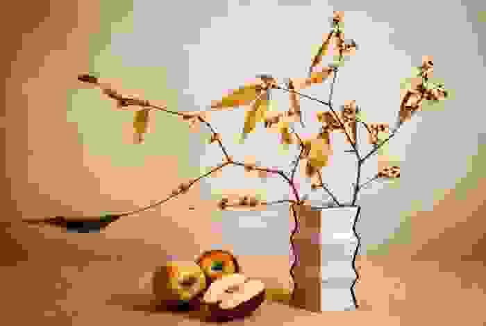 fiori di stagione