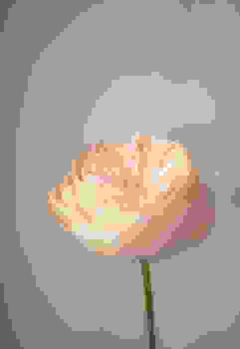 fiori rari