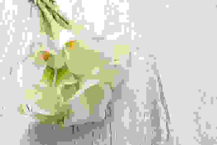 fiori di stagione