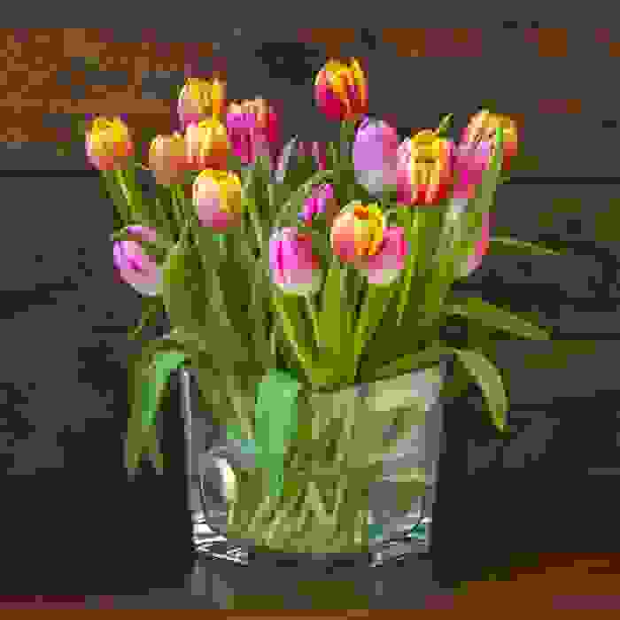 fiori di stagione