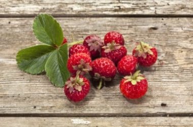 Framberry est née du croisement entre la fraise et la framboise !