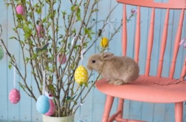 Tutto sull’albero di Pasqua, la bellissima decorazione primaverile che proviene dal Nord Europa