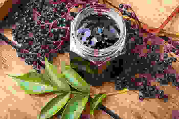 bacche di sambuco marmellata