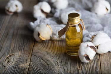 Tout ce que vous devez savoir sur l'huile de coton