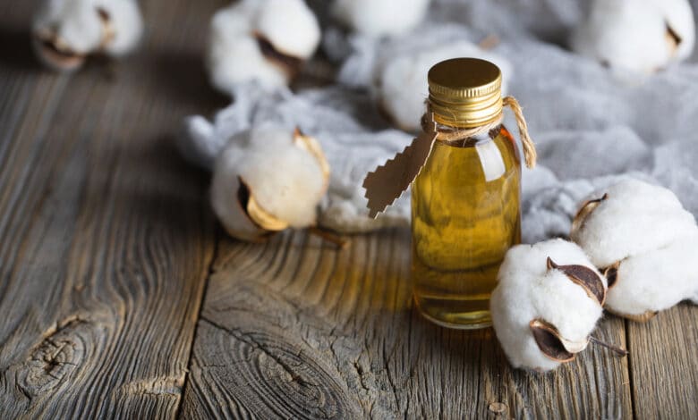 olio di cotone