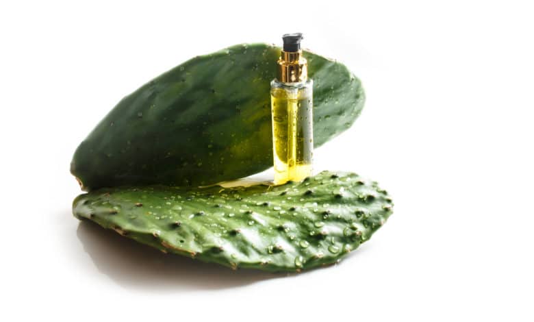 Olio di fico d'India