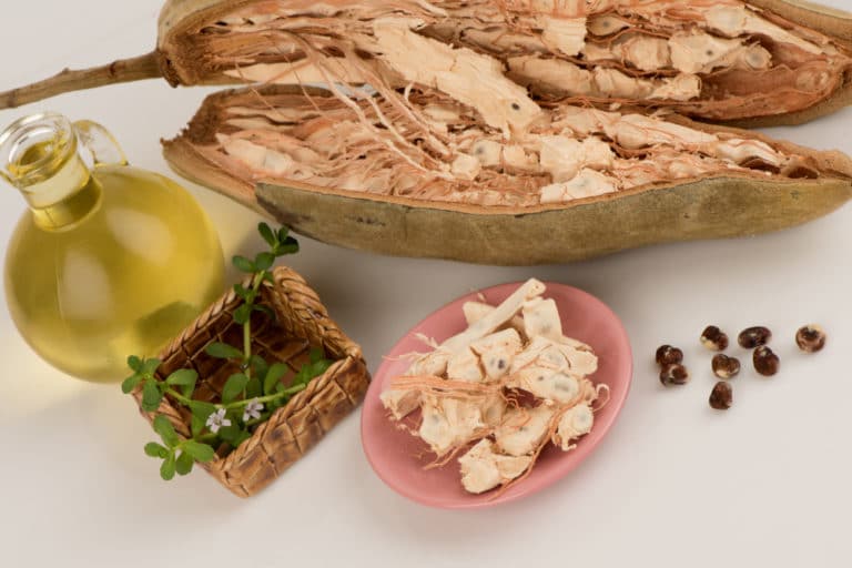 Tout sur l'huile de baobab qui hydrate la peau et réduit les rides du