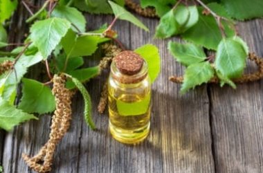 Tutte le proprietà curative dell’olio essenziale di betulla