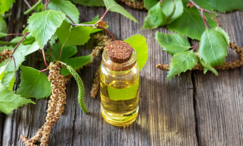 olio essenziale di betulla
