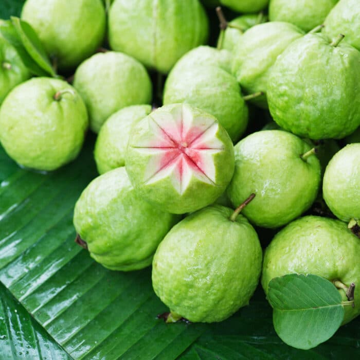 guava frutto tropicale