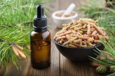 Parfum frais, boisé et balsamique: c'est l'huile essentielle de pin