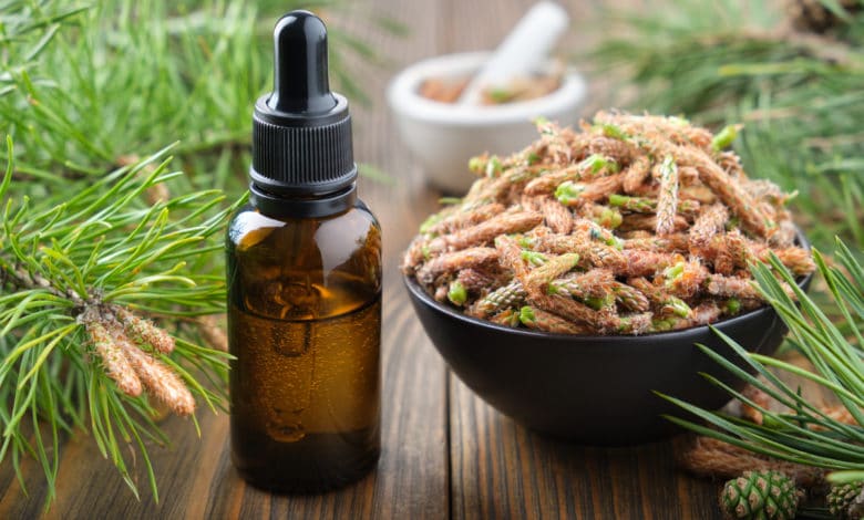 olio essenziale di pino