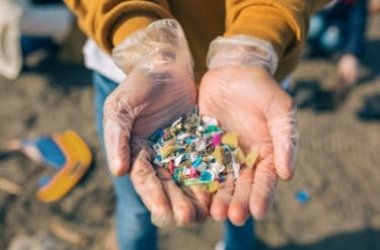 Les microplastiques, l'une des six urgences mondiales pour l'environnement