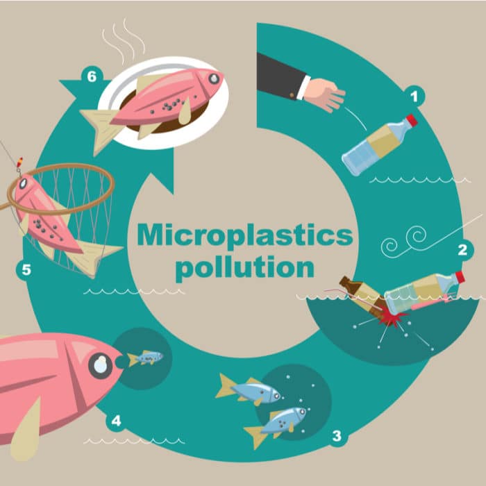 microplastiques