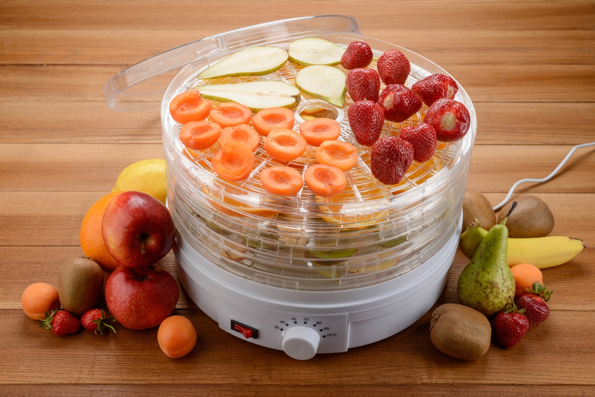 verdure e noci Bvivoa frutta carne Essiccatore elettrico a 5 livelli con regolazione della temperatura senza BPA per carne 
