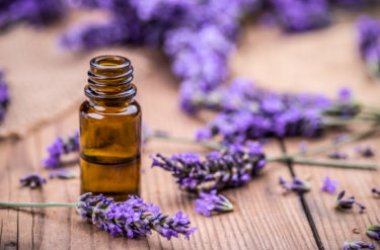 L’olio essenziale di lavanda e le sue molteplici proprietà: scopriamole tutte