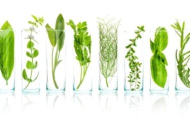 Tutto sul mondo degli estratti vegetali, per capire meglio i cosmetici e i preparati erboristici