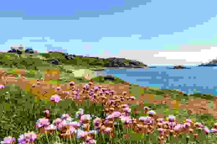isole senza auto