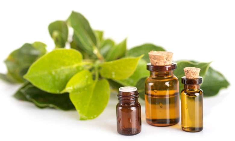 olio essenziale di canfora