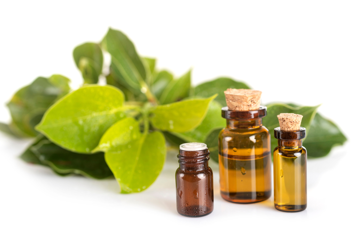 olio canforato a cosa serve