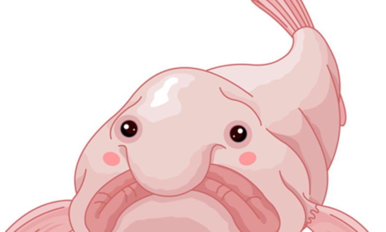 pesce blob